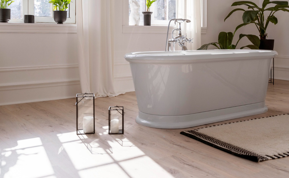 Phase 1: Acclimation & Environmental Setup